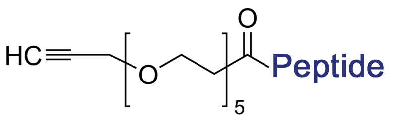 炔基多肽