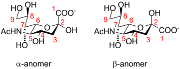 唾液酸Sialic Acid